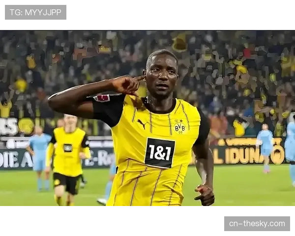 多特蒙德1-2遭霍芬海姆补时点球绝杀